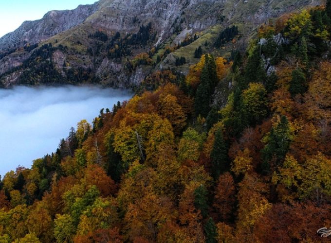 Trip of New York – Discover America