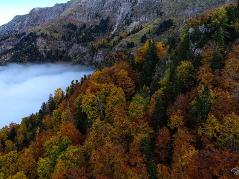 Trip of New York – Discover America