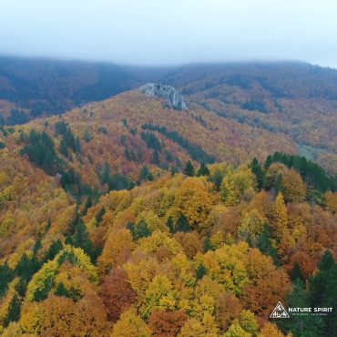 Βάλια Κάλντα